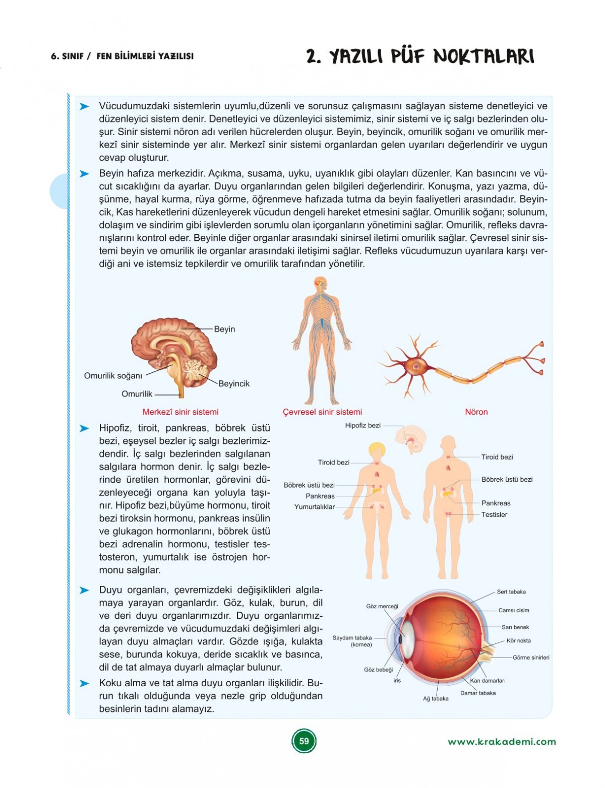 6. Sınıf 2. Dönem Tüm Dersler Yazılılara Hazırlık Kitabı KR Akademi Yayınları