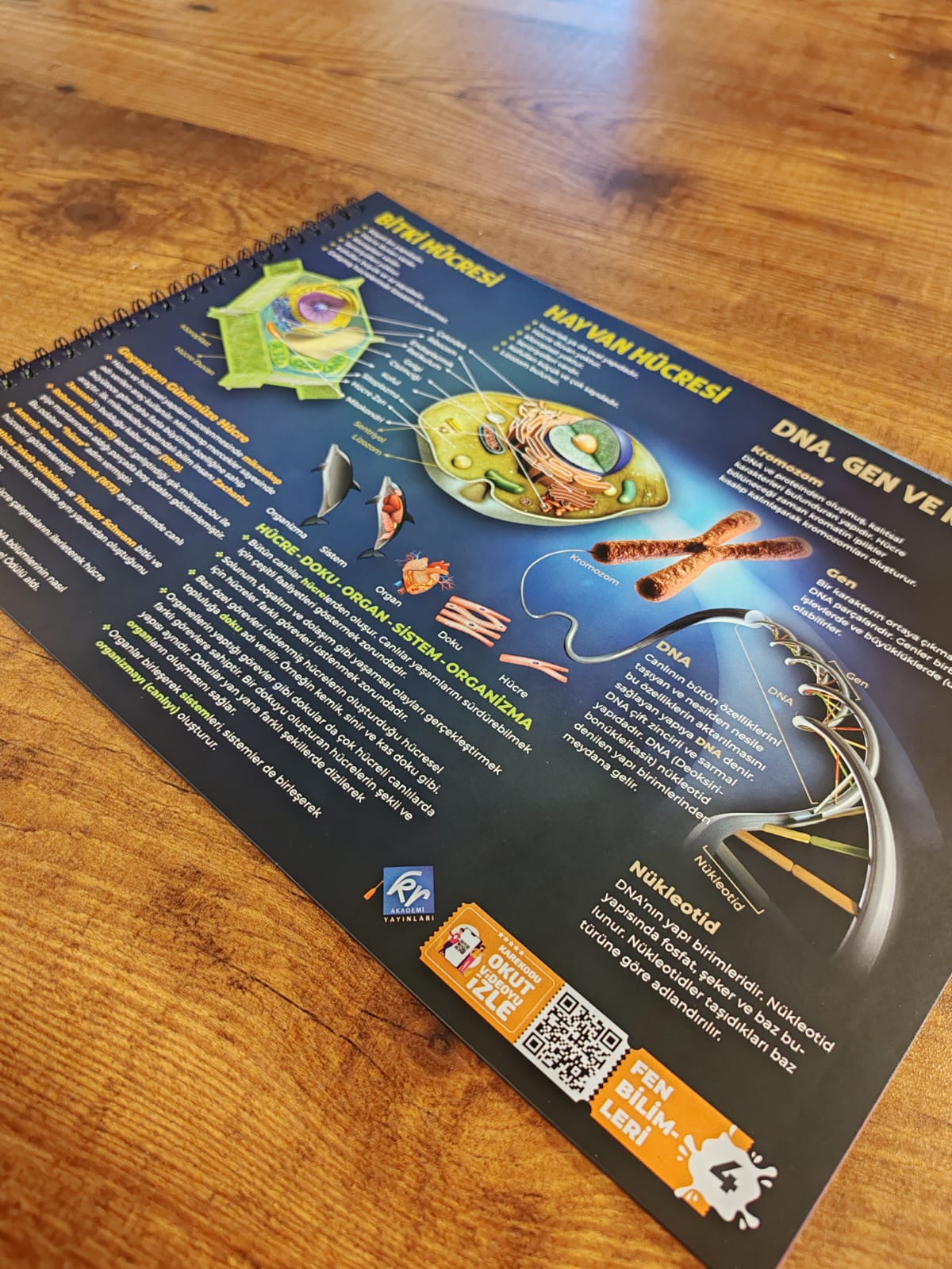 7. Sınıf Poster Notlar Seti Kr Akademi Yayınları