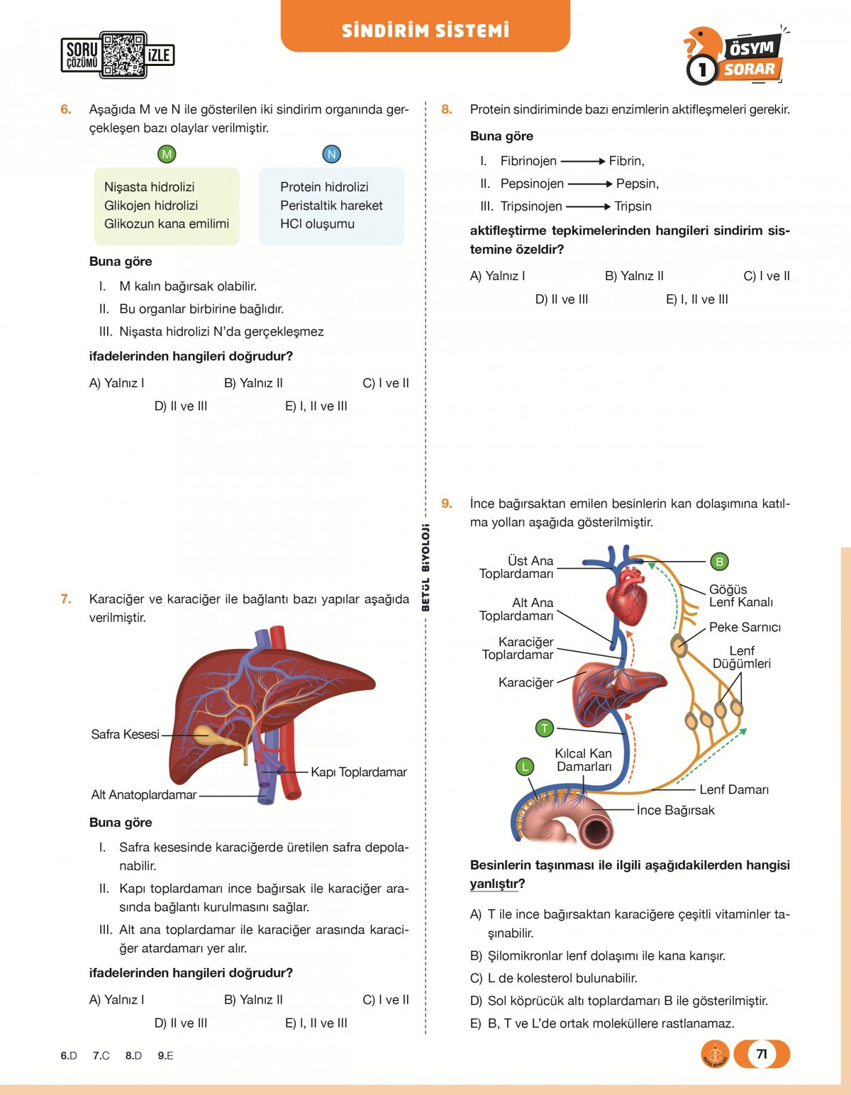Betül Biyoloji AYT Biyoloji Soru Bankası Betül Biyoloji AYT Biyoloji Soru Bankası