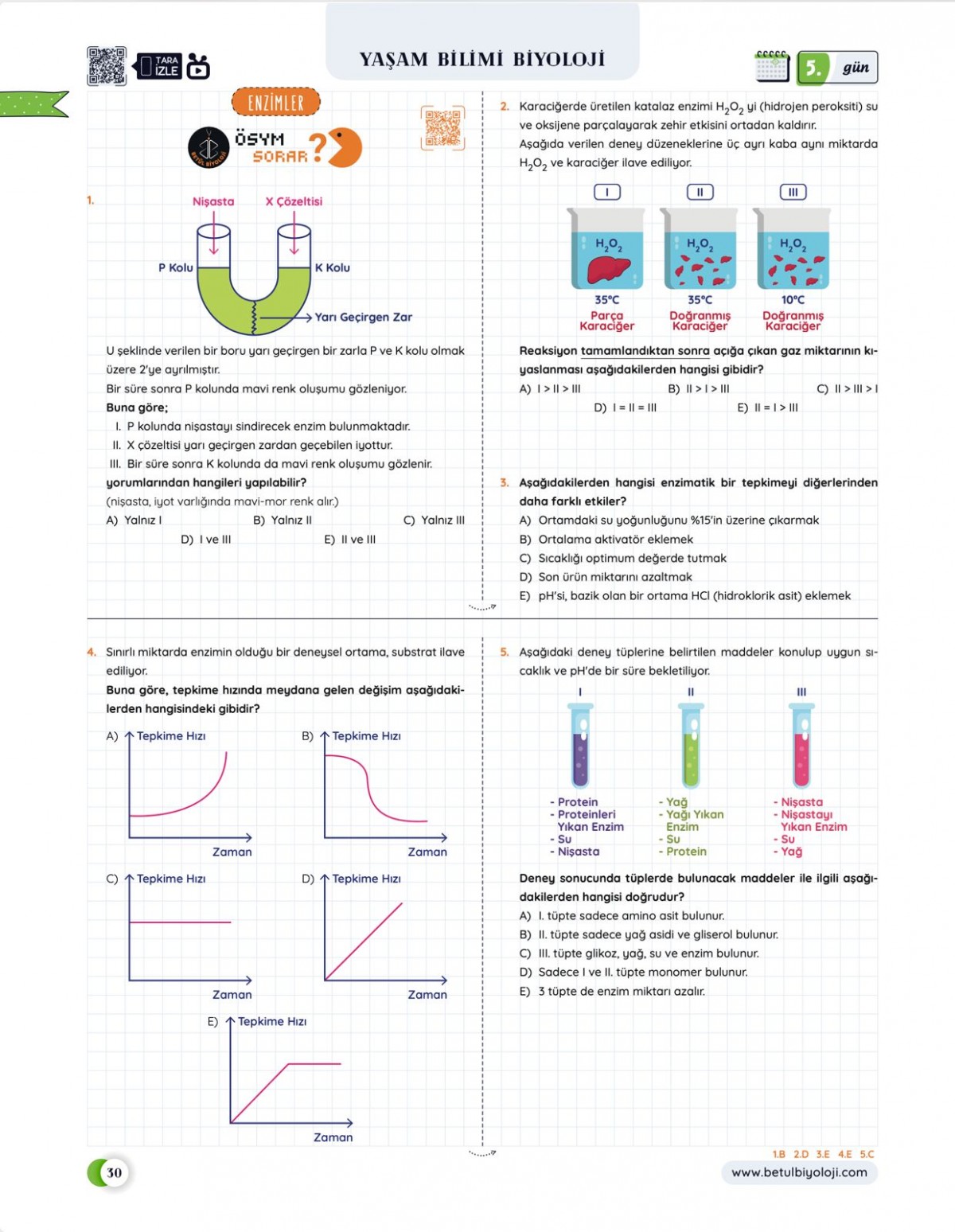 Betül Biyoloji Konu Anlatımı 28 Günde TYT Biyoloji Video Kamp Kitabı