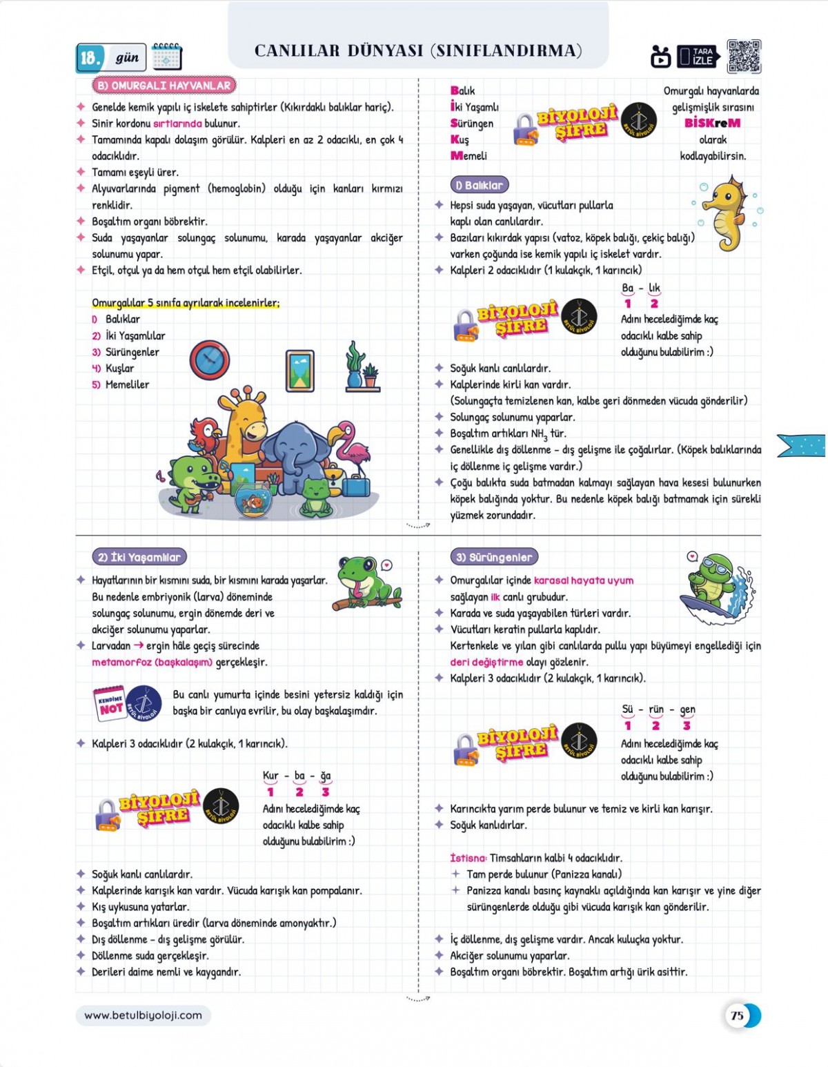 Betül Biyoloji Konu Anlatımı 28 Günde TYT Biyoloji Video Kamp Kitabı