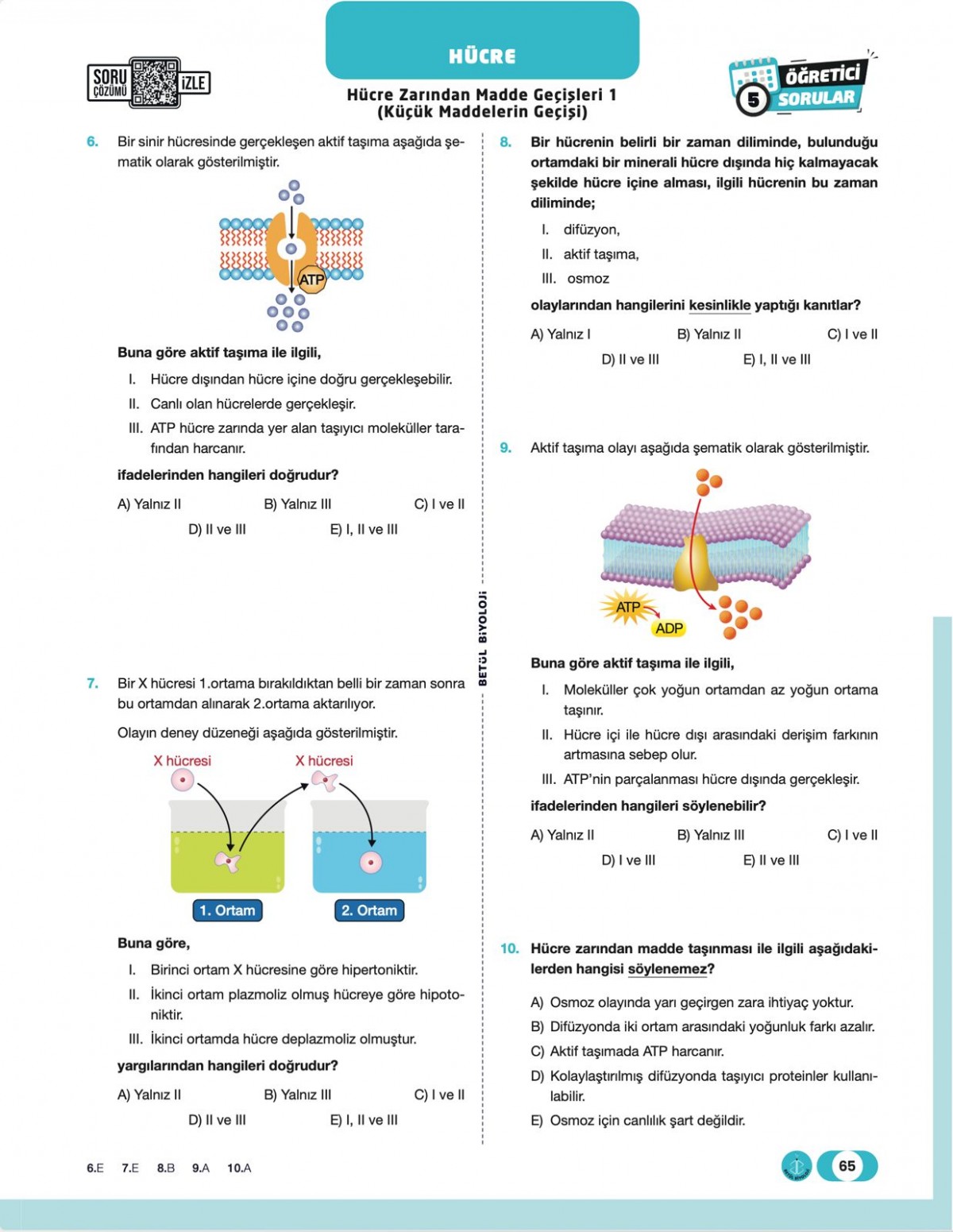Betül Biyoloji TYT Biyoloji Soru Bankası Betül Biyoloji TYT Biyoloji Soru Bankası