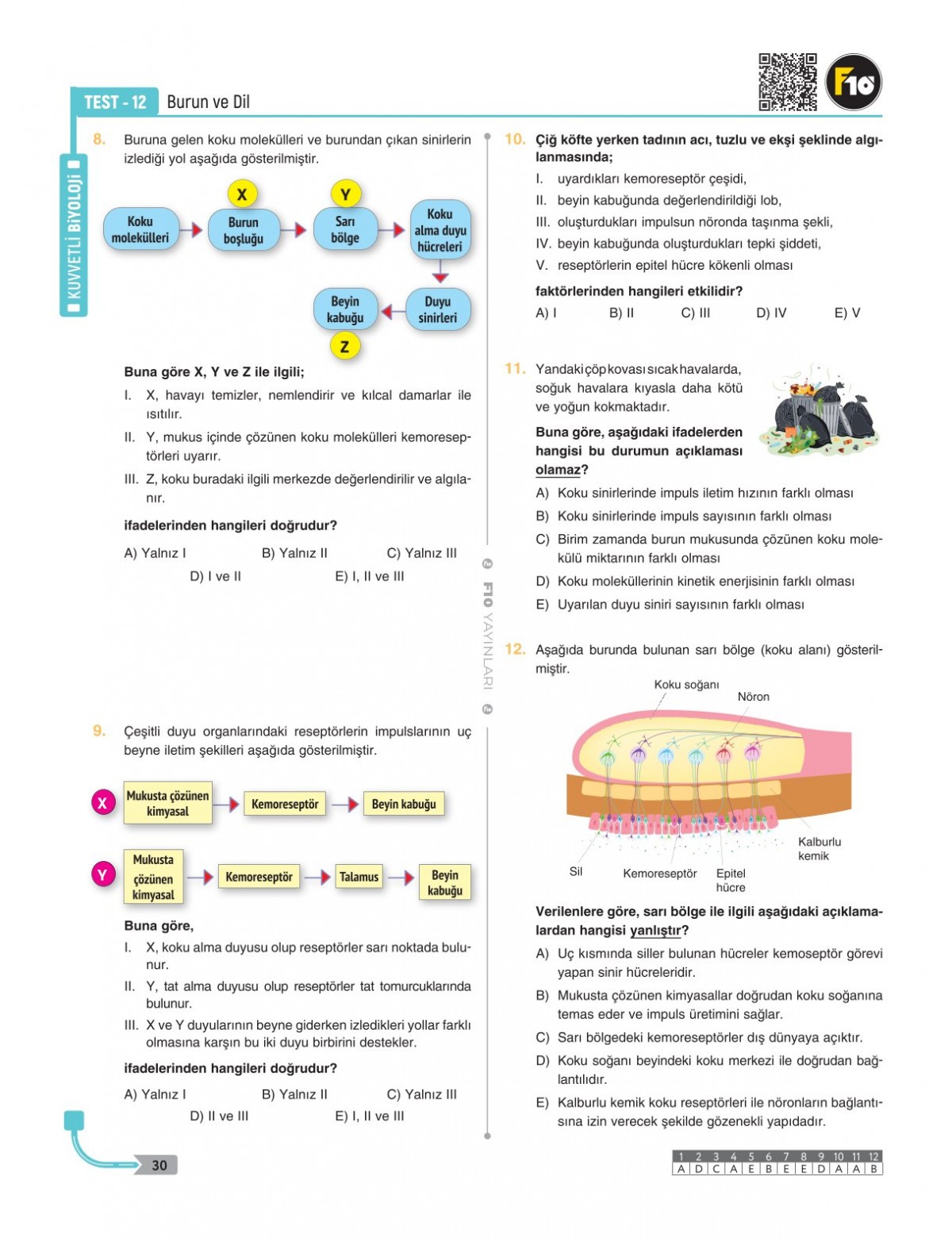Dilek Hocayla 50 Günde AYT Biyoloji Soru Bankası F10 Yayınları Dilek Hocayla 50 Günde AYT Biyoloji Soru Bankası F10 Yayınları