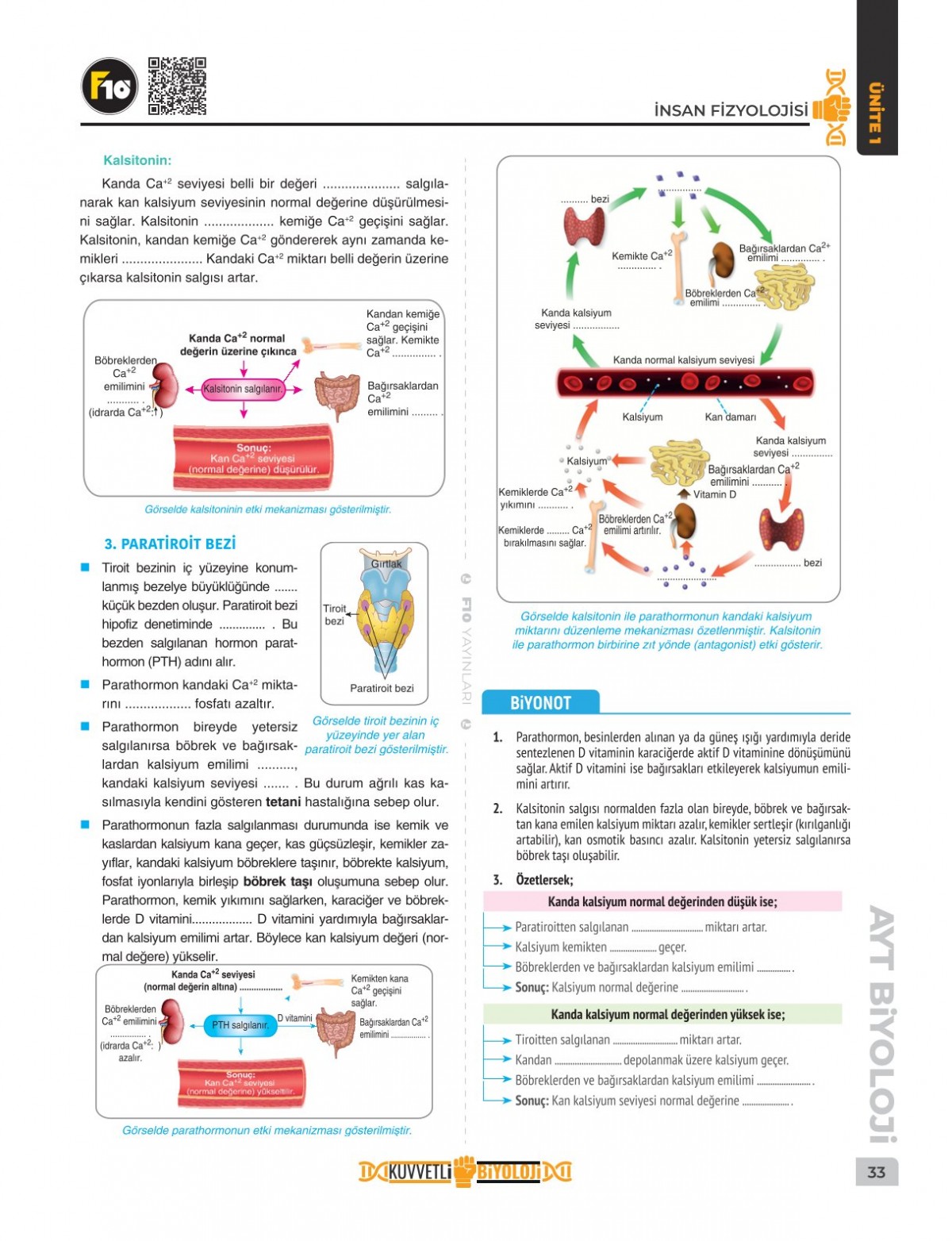 Dilek Hocayla 50 Günde AYT Biyoloji Video Ders Kitabı F10 Yayınları Dilek Hocayla 50 Günde AYT Biyoloji Video Ders Kitabı F10 Yayınları