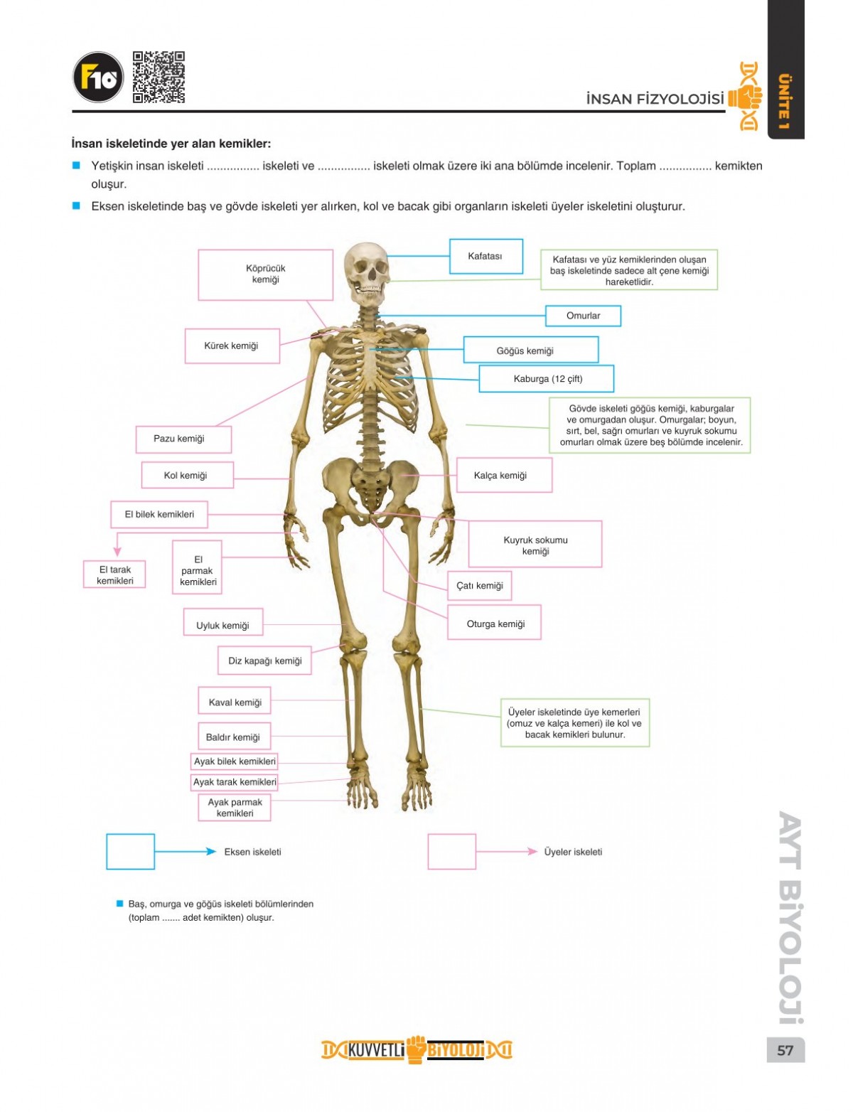 Dilek Hocayla 50 Günde AYT Biyoloji Video Ders Kitabı F10 Yayınları Dilek Hocayla 50 Günde AYT Biyoloji Video Ders Kitabı F10 Yayınları