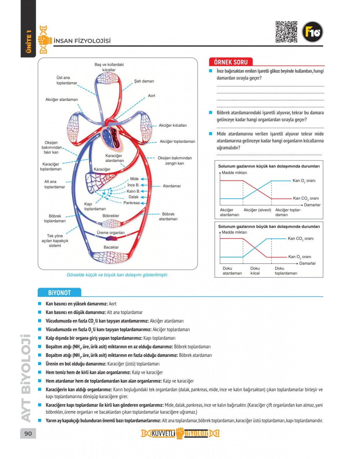 Dilek Hocayla 50 Günde AYT Biyoloji Video Ders Kitabı F10 Yayınları Dilek Hocayla 50 Günde AYT Biyoloji Video Ders Kitabı F10 Yayınları