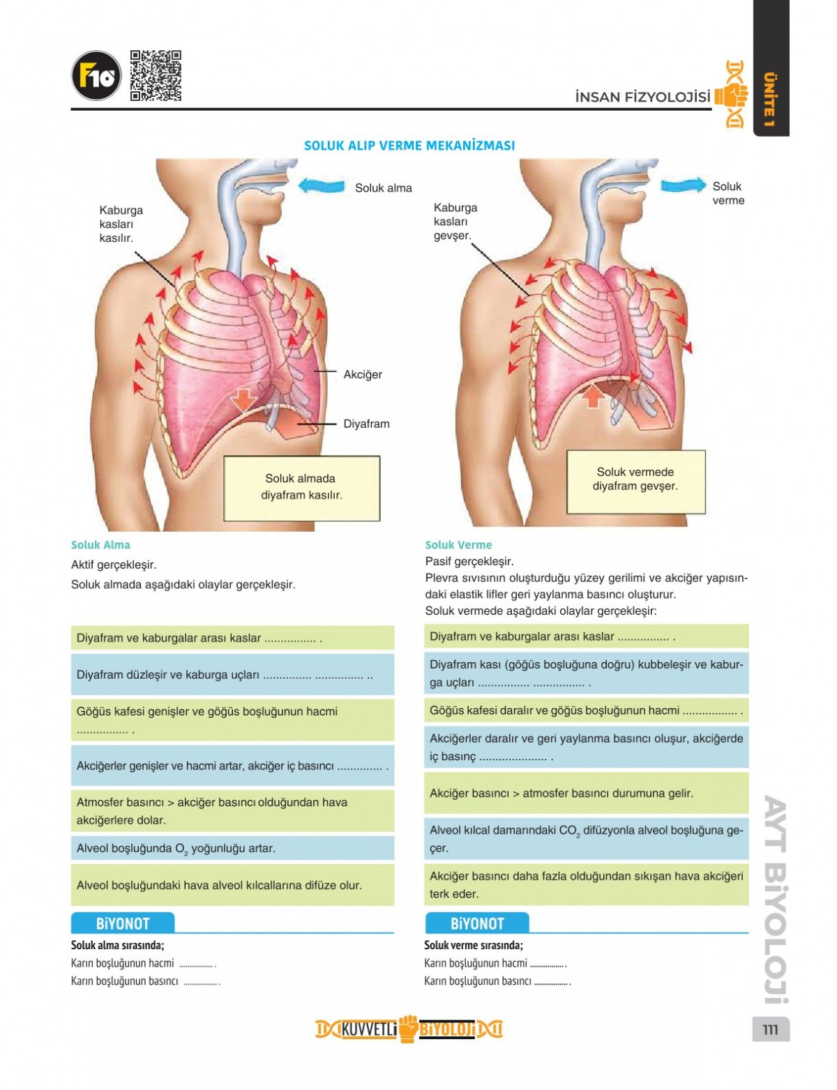 Dilek Hocayla 50 Günde AYT Biyoloji Video Ders Kitabı F10 Yayınları Dilek Hocayla 50 Günde AYT Biyoloji Video Ders Kitabı F10 Yayınları