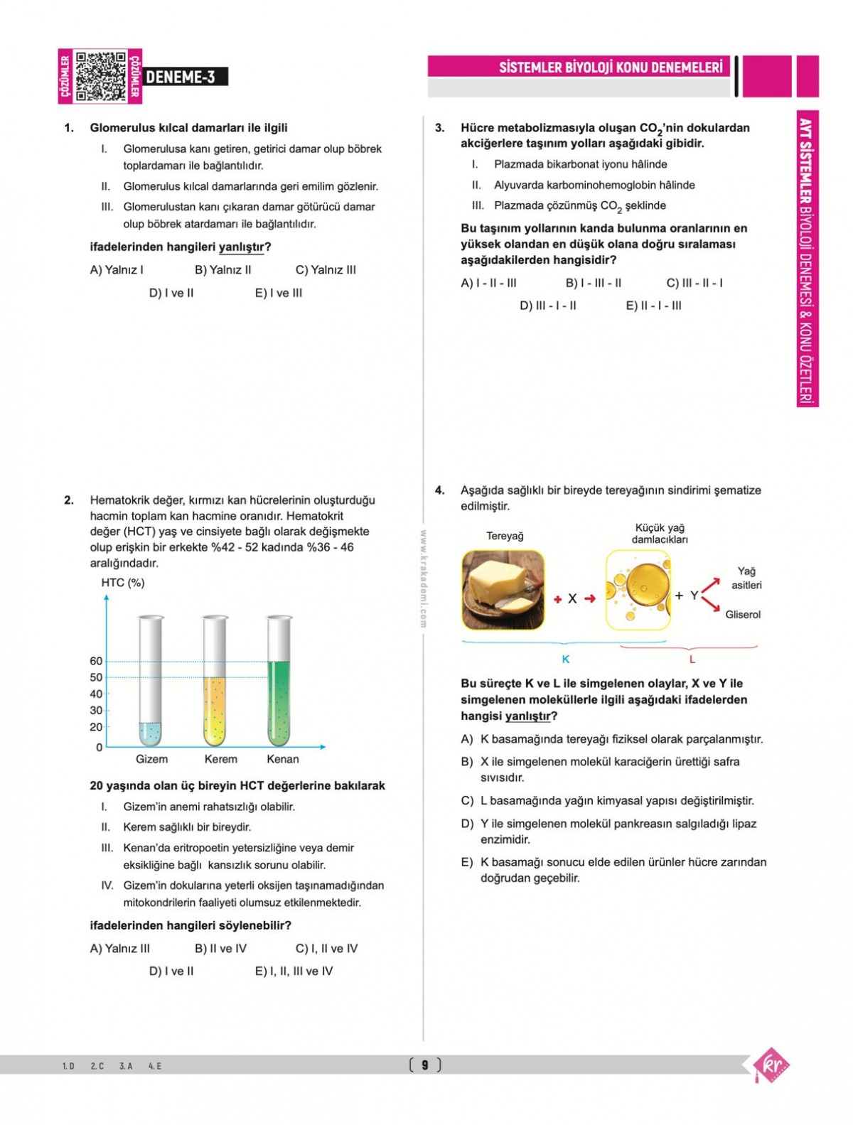 Dilek Kuvvet Kuvvetli Biyoloji AYT Biyoloji Sistemler 40 Deneme Konu Özetleri KR Akademi Yayınları