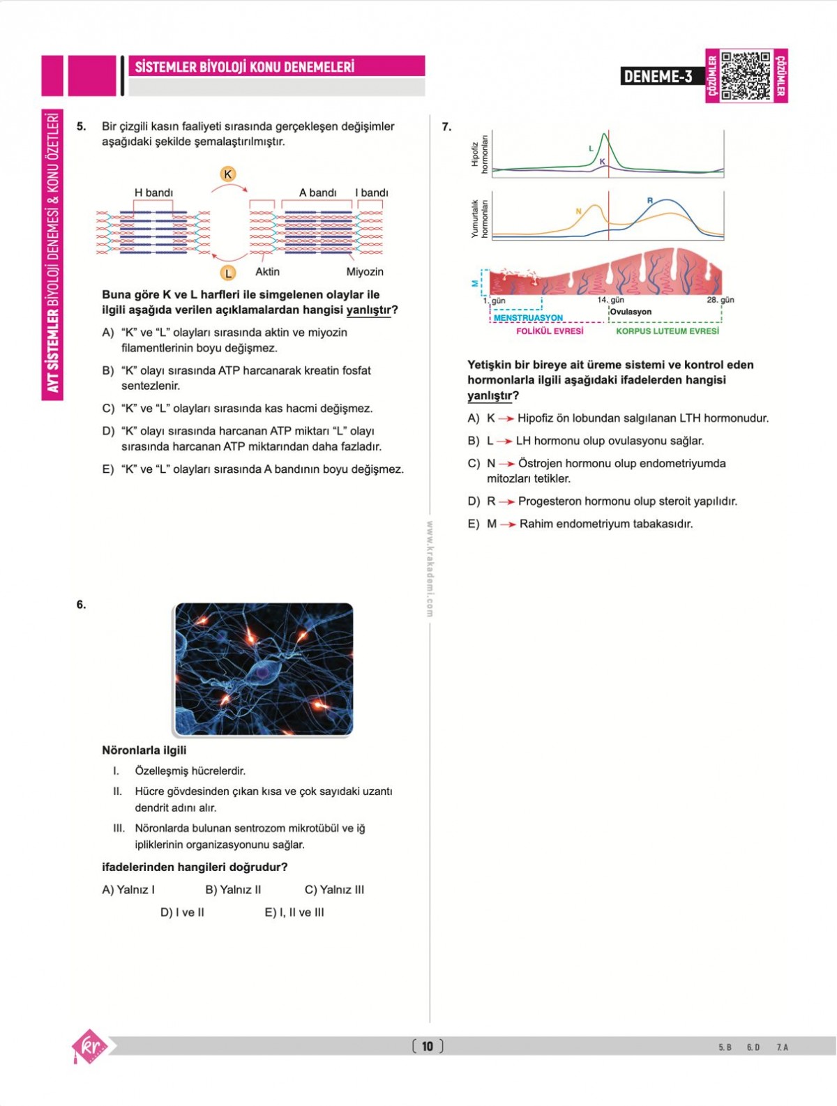 Dilek Kuvvet Kuvvetli Biyoloji AYT Biyoloji Sistemler 40 Deneme Konu Özetleri KR Akademi Yayınları