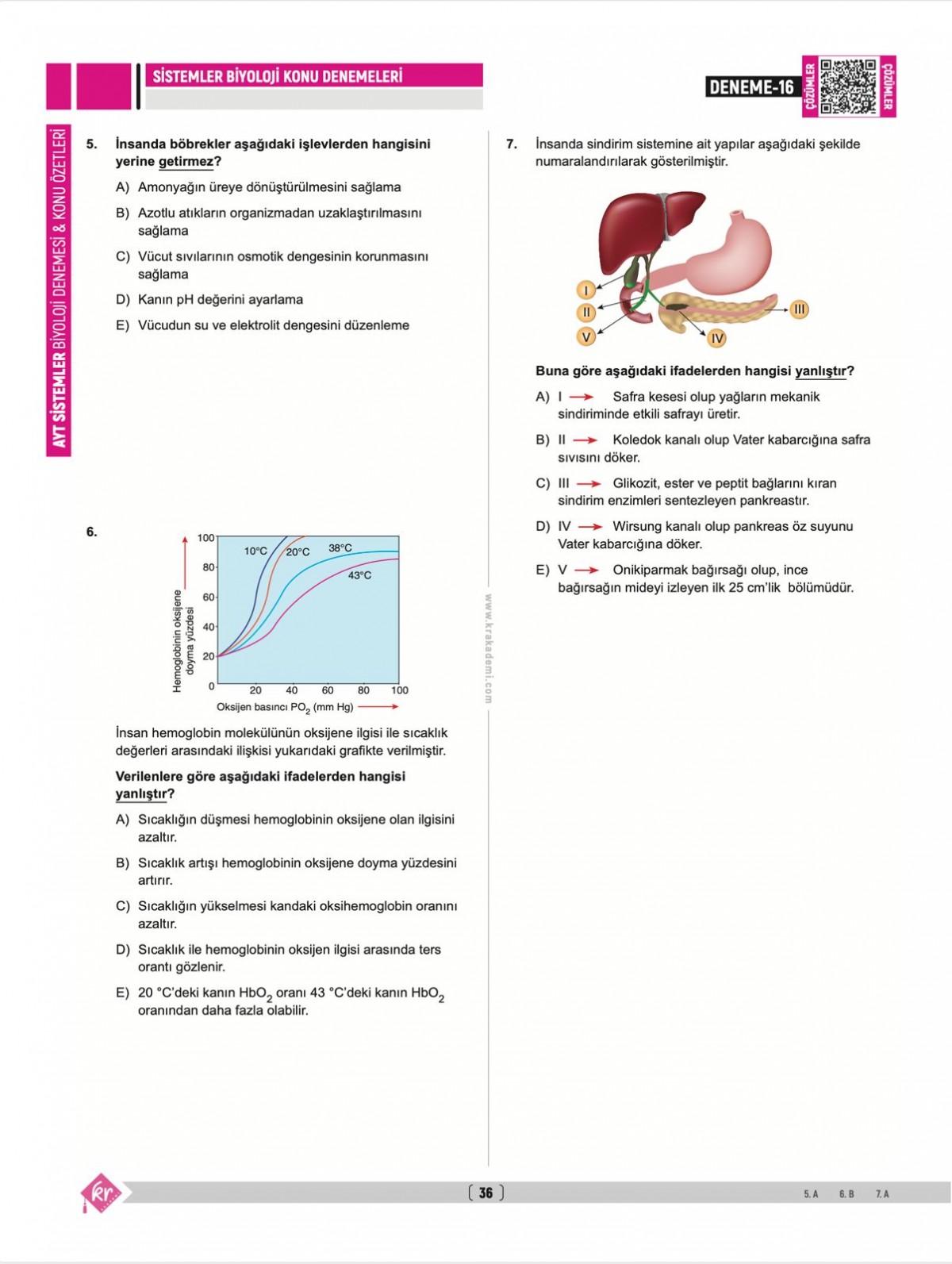 Dilek Kuvvet Kuvvetli Biyoloji AYT Biyoloji Sistemler 40 Deneme Konu Özetleri KR Akademi Yayınları