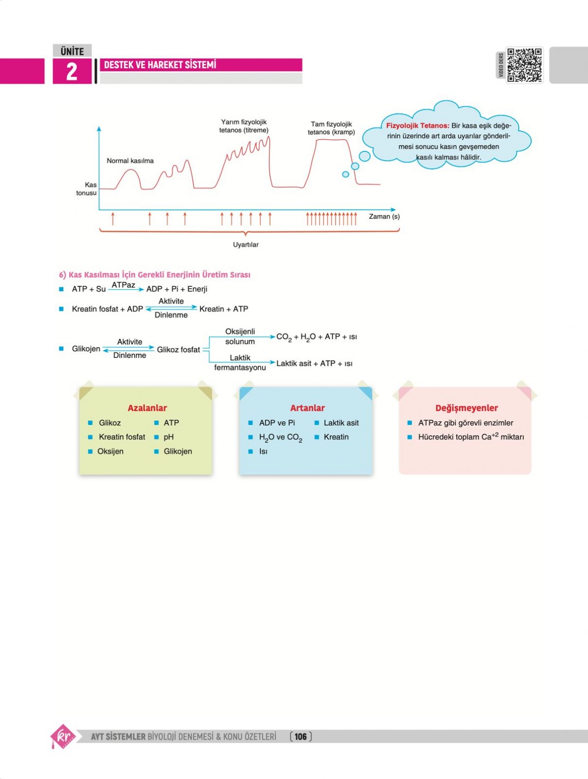 Dilek Kuvvet Kuvvetli Biyoloji AYT Biyoloji Sistemler 40 Deneme Konu Özetleri KR Akademi Yayınları