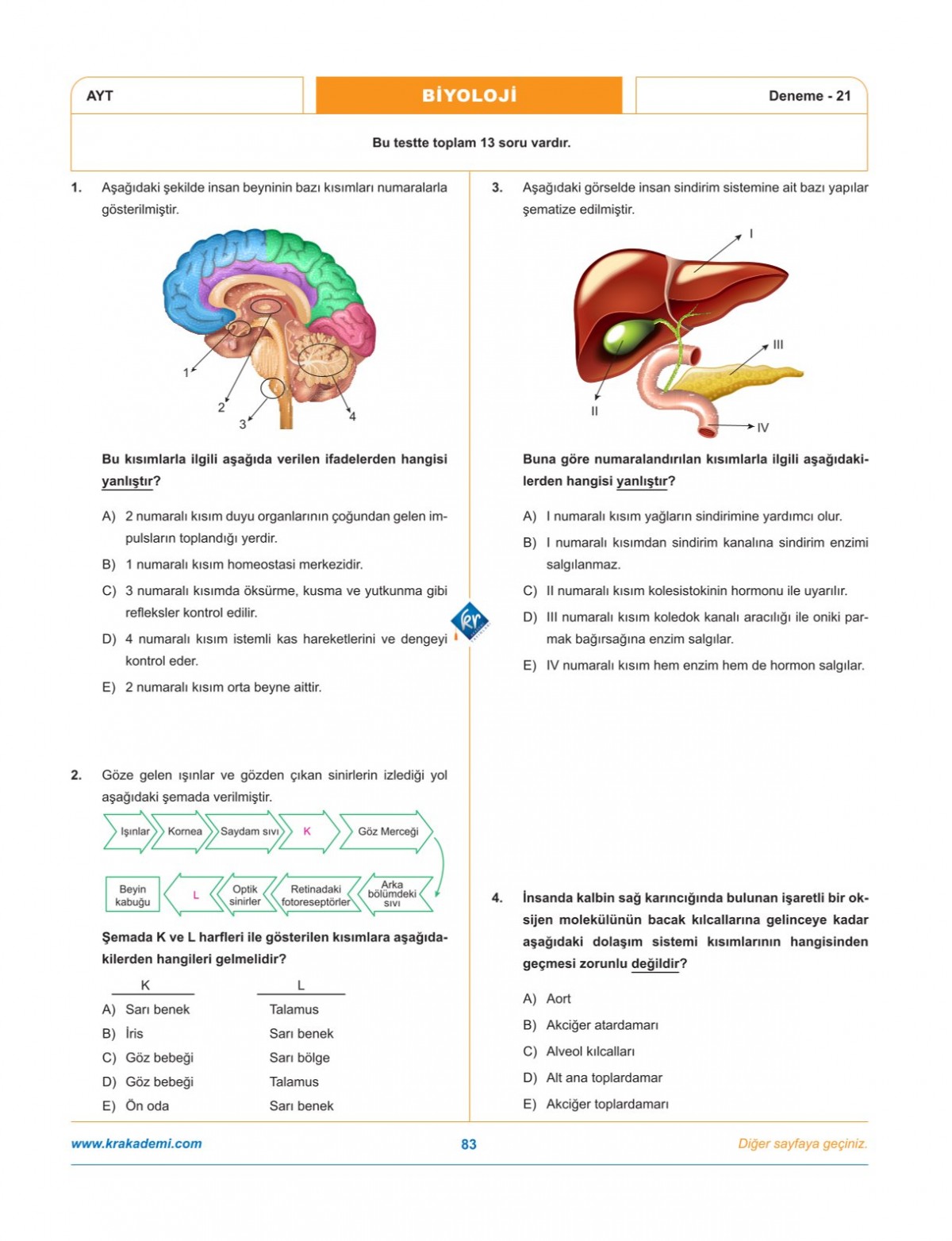 Dr. Biyoloji & Biosem AYT Biyoloji Biyopsi 25 Biyoloji Deneme Dr. Biyoloji & Biosem AYT Biyoloji Biyopsi 25 Biyoloji Deneme