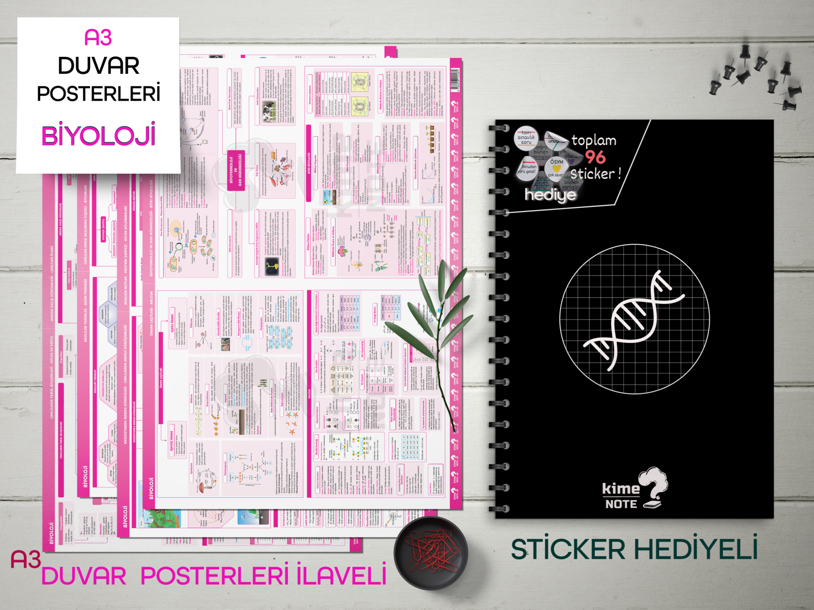 Kime Note TYT Kareli Biyoloji Okul Defteri Konu Anlatımlı 4 Büyük Poster ve 96 Sticker Hediye 9-10-11-12.Sınıfa Uygun