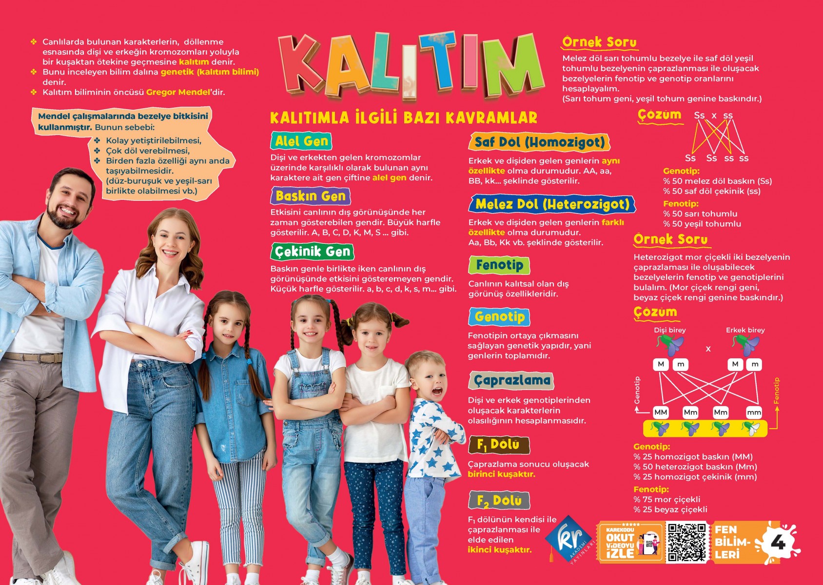 LGS Fen Bilimleri Poster Notları KR Akademi Yayınları