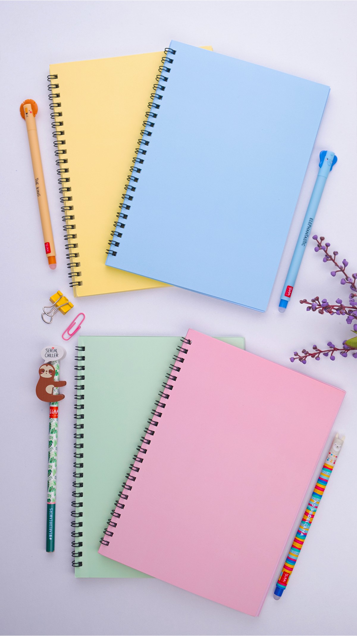 Dream Notes 4 Farklı Renk Çizgisiz A5 Defter Seti