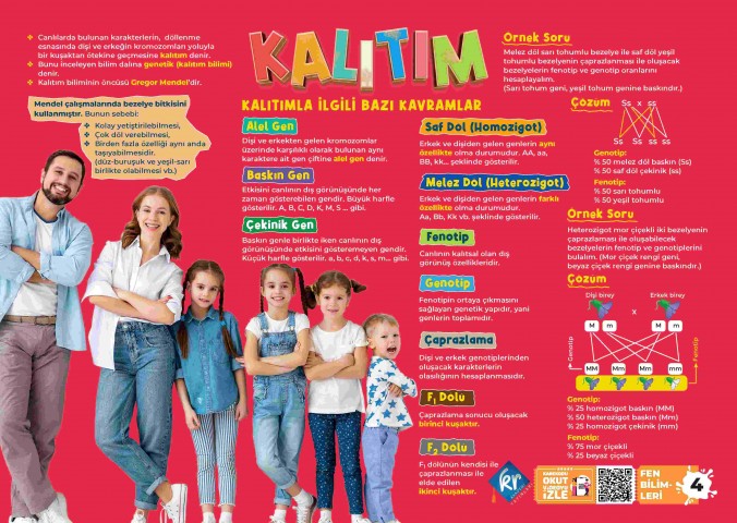 LGS Poster Notlar Seti 5'li KR Akademi