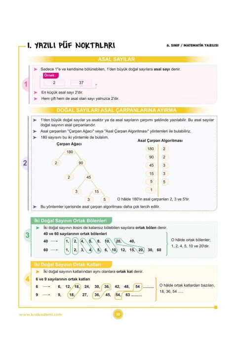 6. Sınıf 1. Dönem Tüm Dersler Yazılılara Hazırlık Kitabı KR Akademi Yayınları
