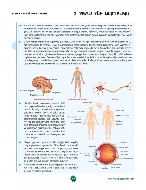 6. Sınıf 2. Dönem Tüm Dersler Yazılılara Hazırlık Kitabı KR Akademi Yayınları