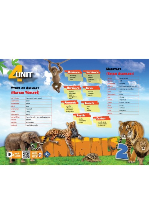 7. Sınıf İngilizce Poster Notlar Kr Akademi Yayınları
