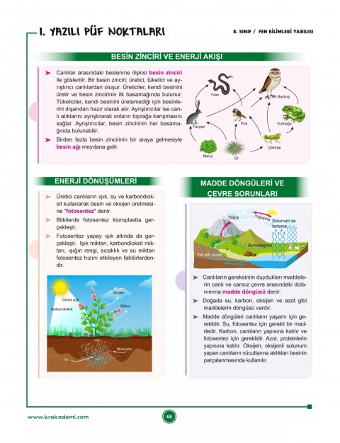 8. Sınıf 2. Dönem Tüm Dersler Yazılılara Hazırlık Kitabı KR Akademi Yayınları