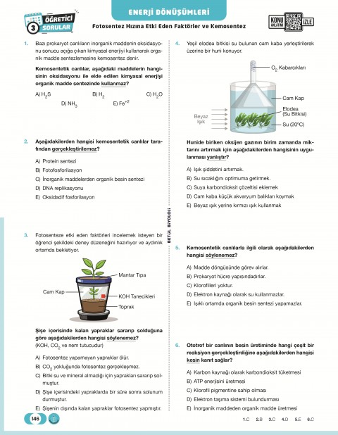 Betül Biyoloji AYT Biyoloji Soru Bankası