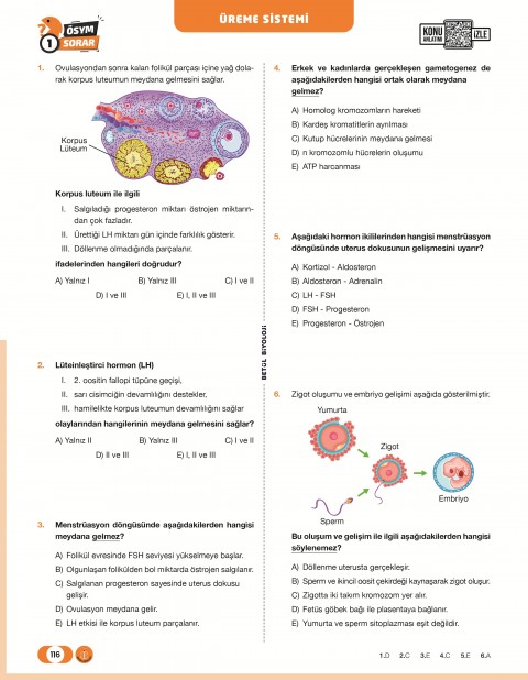 Betül Biyoloji AYT Biyoloji Soru Bankası