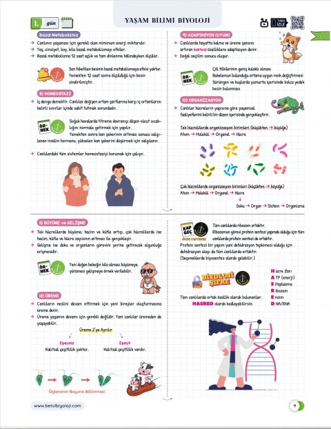 Betül Biyoloji Konu Anlatımı 28 Günde TYT Biyoloji Video Kamp Kitabı