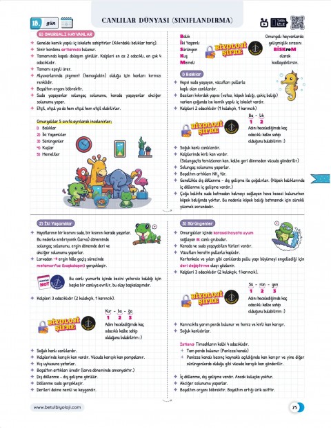 Betül Biyoloji Konu Anlatımı 28 Günde TYT Biyoloji Video Kamp Kitabı