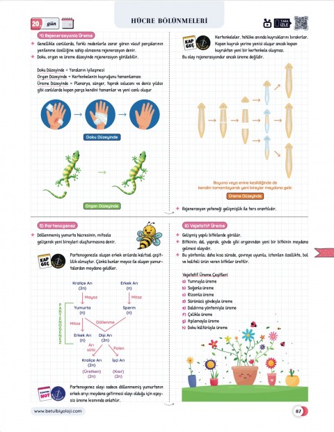Betül Biyoloji Konu Anlatımı 28 Günde TYT Biyoloji Video Kamp Kitabı