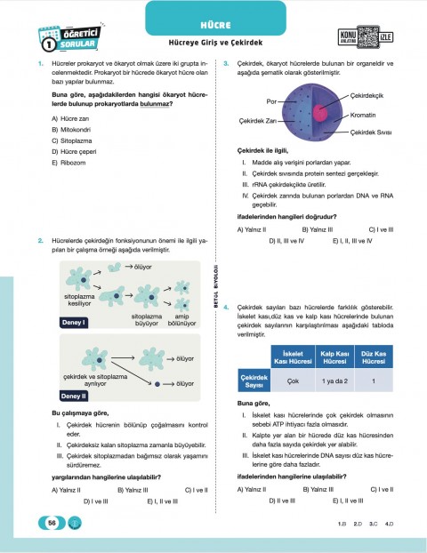 Betül Biyoloji TYT Biyoloji Soru Bankası