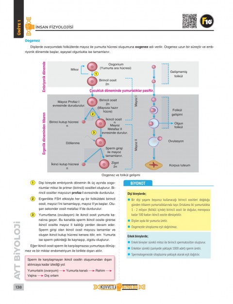 Dilek Hocayla 50 Günde AYT Biyoloji Video Ders Kitabı F10 Yayınları Dilek Hocayla 50 Günde AYT Biyoloji Video Ders Kitabı F10 Yayınları