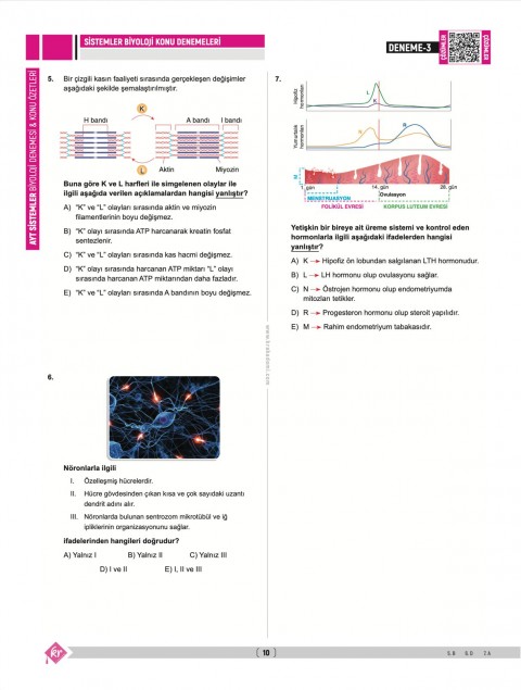 Dilek Kuvvet Kuvvetli Biyoloji AYT Biyoloji Sistemler 40 Deneme Konu Özetleri KR Akademi Yayınları