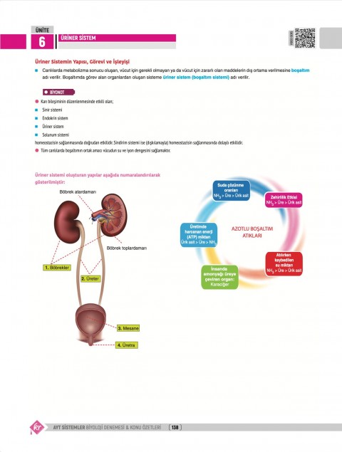 Dilek Kuvvet Kuvvetli Biyoloji AYT Biyoloji Sistemler 40 Deneme Konu Özetleri KR Akademi Yayınları