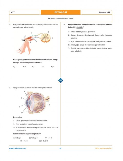 Dr. Biyoloji & Biosem AYT Biyoloji Biyopsi 25 Biyoloji Deneme