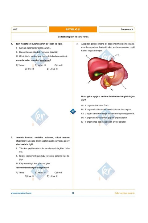 Dr. Biyoloji & Biosem AYT Biyopsi 25 Biyoloji Deneme KR Akademi Yayınları