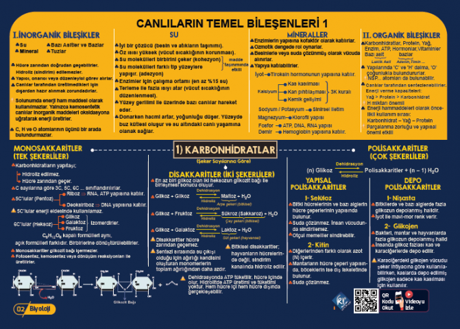 TYT Biyoloji Poster Notlar KR Akademi Yayınları