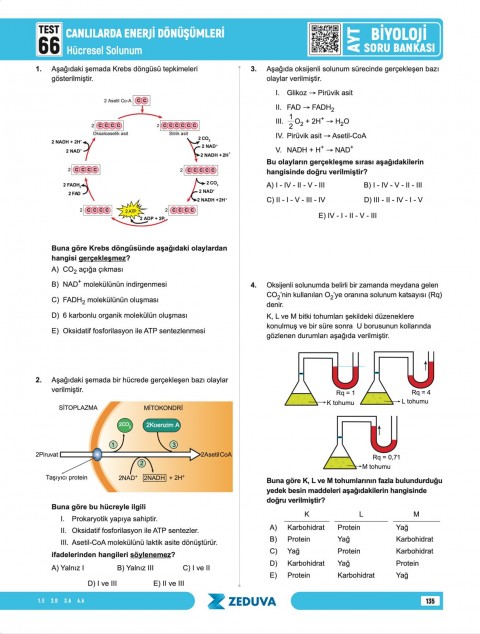 Zeduva Yayınları Biosem AYT Biyoloji 1 Kitap 3 Kamp Soru Bankası