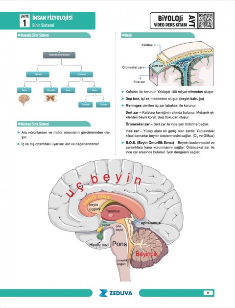 Zeduva Yayınları Biosem AYT Biyoloji 1 Kitap 3 Kamp Video Ders Kitabı