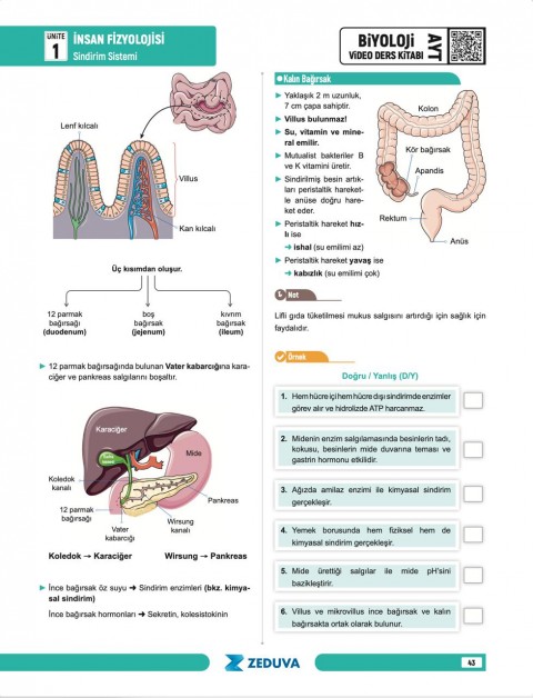 Zeduva Yayınları Biosem AYT Biyoloji 1 Kitap 3 Kamp Video Ders Kitabı