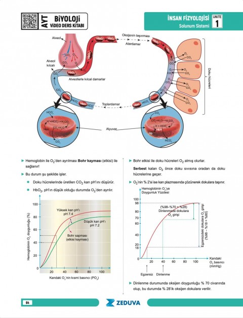Zeduva Yayınları Biosem AYT Biyoloji 1 Kitap 3 Kamp Video Ders Kitabı