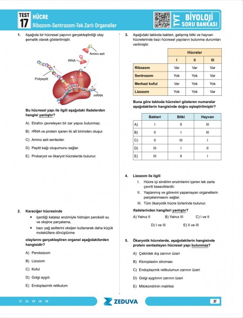 Zeduva Yayınları Biosem TYT Biyoloji 1 Kitap 3 Kamp Soru Bankası