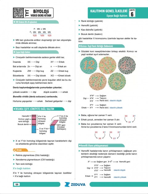 Zeduva Yayınları Biosem TYT Biyoloji 1 Kitap 3 Kamp Video Ders Kitabı