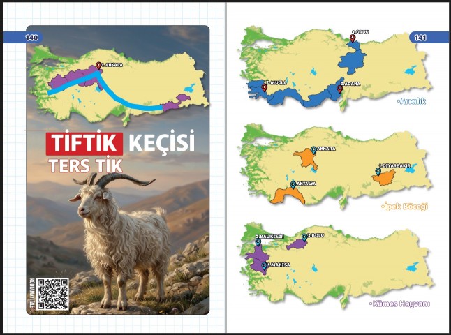Zeduva Yayınları Coğrafyanın Kodları KPSS-AGS Kodlamalarla Haritalarla Coğrafya Özeti Cep Kitabı