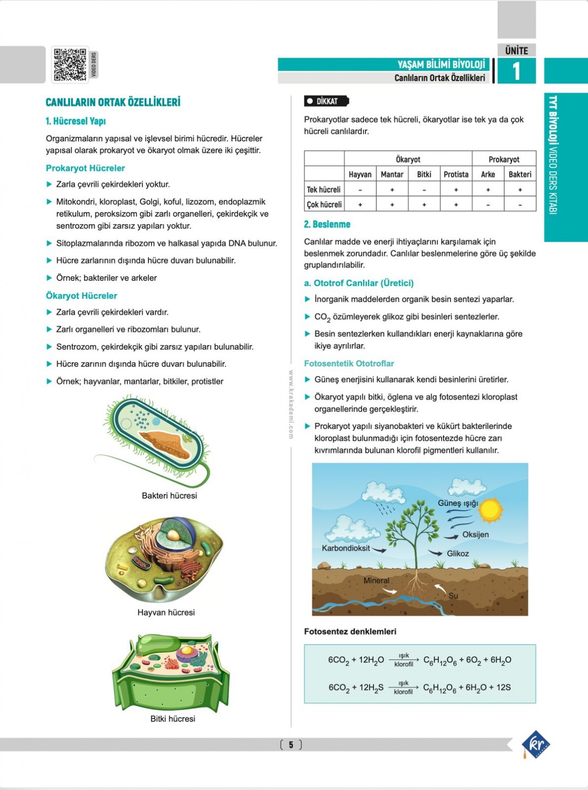 Segah Hoca TYT Biyoloji Video Ders Kitabı KR Akademi Yayınları Segah Hoca TYT Biyoloji Video Ders Kitabı KR Akademi Yayınları