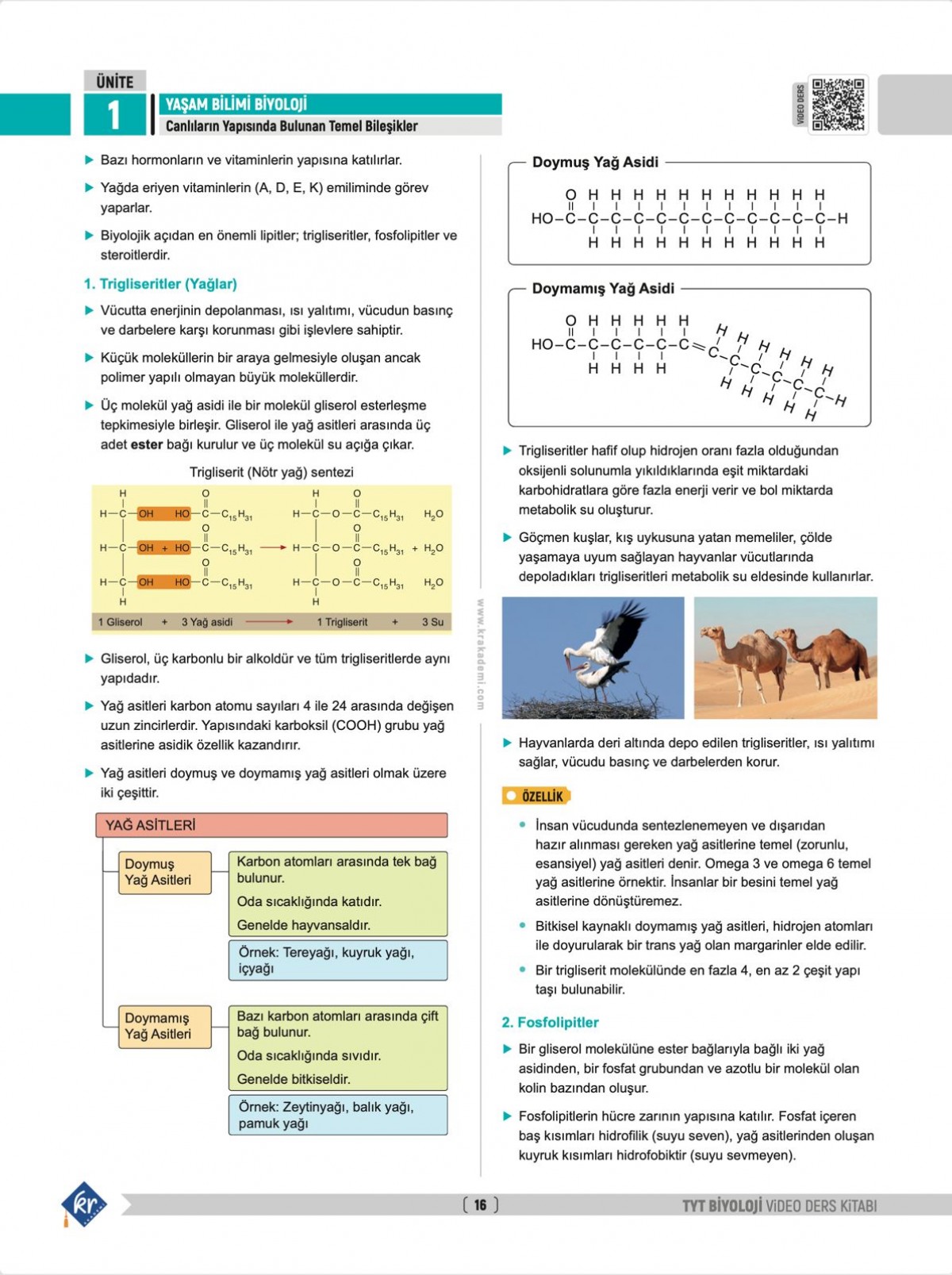 Segah Hoca TYT Biyoloji Video Ders Kitabı KR Akademi Yayınları Segah Hoca TYT Biyoloji Video Ders Kitabı KR Akademi Yayınları