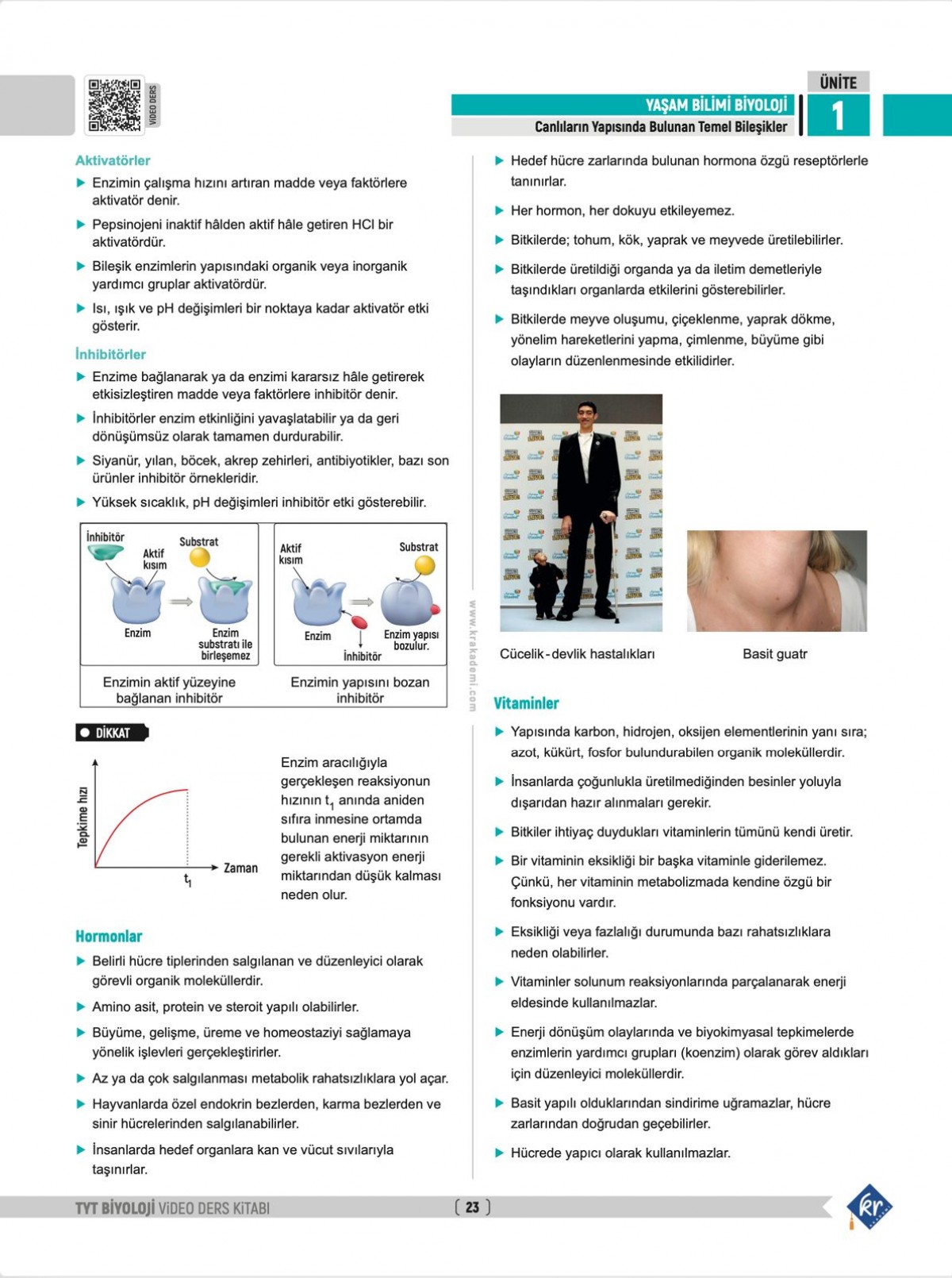 Segah Hoca TYT Biyoloji Video Ders Kitabı KR Akademi Yayınları Segah Hoca TYT Biyoloji Video Ders Kitabı KR Akademi Yayınları