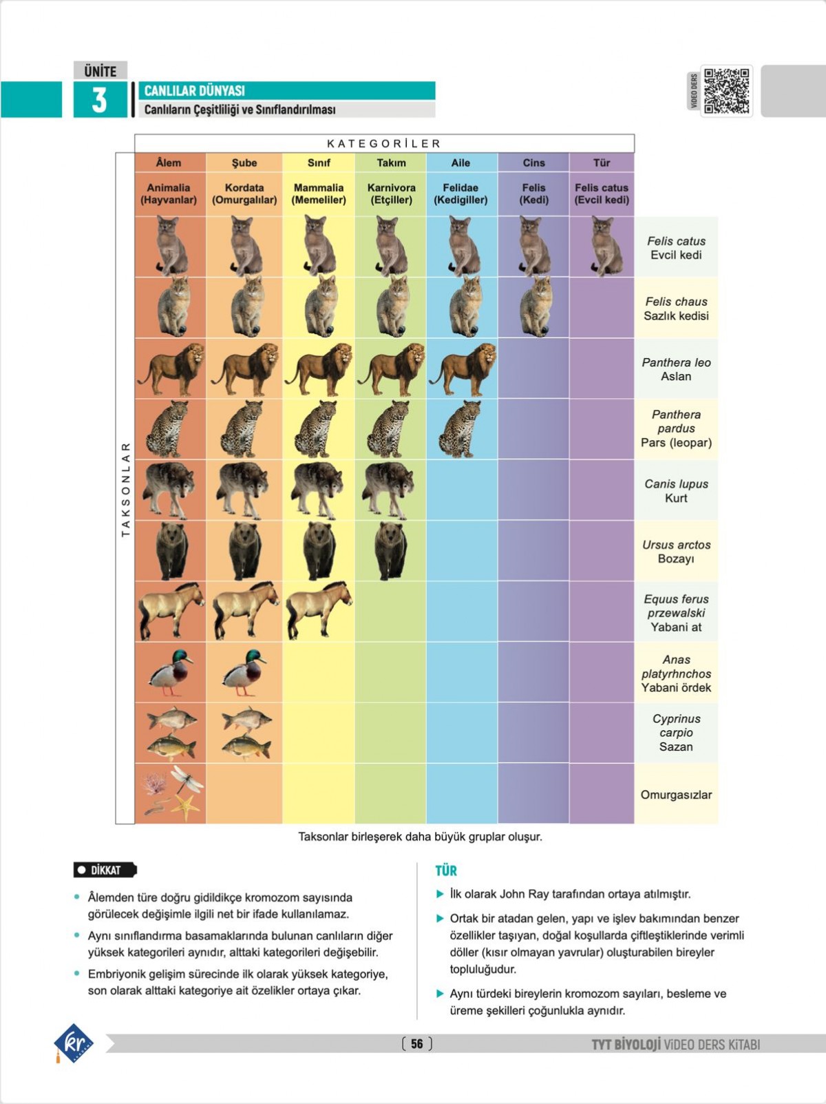 Segah Hoca TYT Biyoloji Video Ders Kitabı KR Akademi Yayınları Segah Hoca TYT Biyoloji Video Ders Kitabı KR Akademi Yayınları