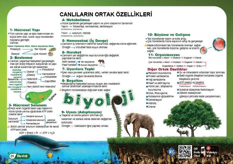 TYT Biyoloji Poster Notlar KR Akademi Yayınları