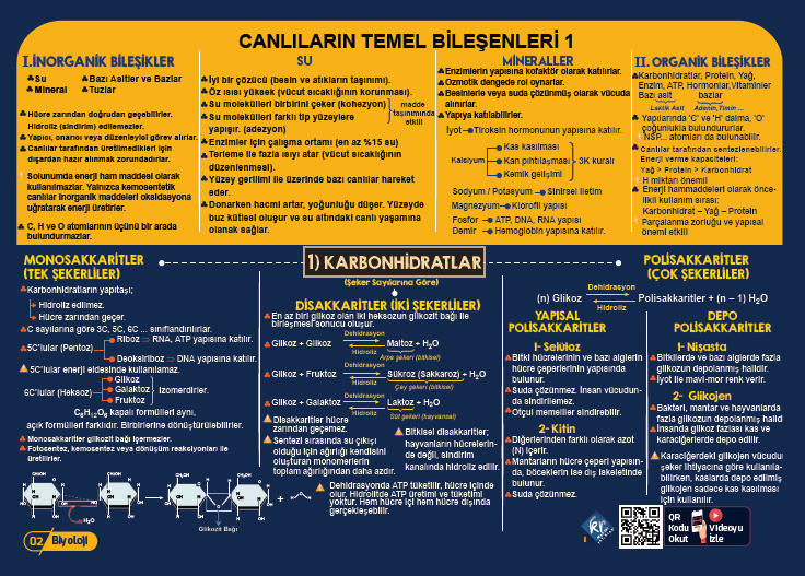 TYT Biyoloji Poster Notlar KR Akademi Yayınları