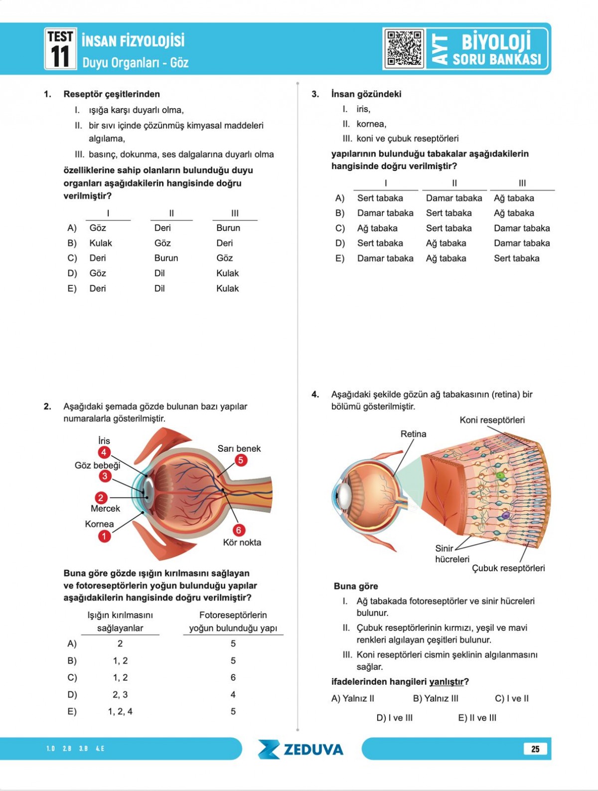 Zeduva Yayınları Biosem AYT Biyoloji 1 Kitap 3 Kamp Soru Bankası